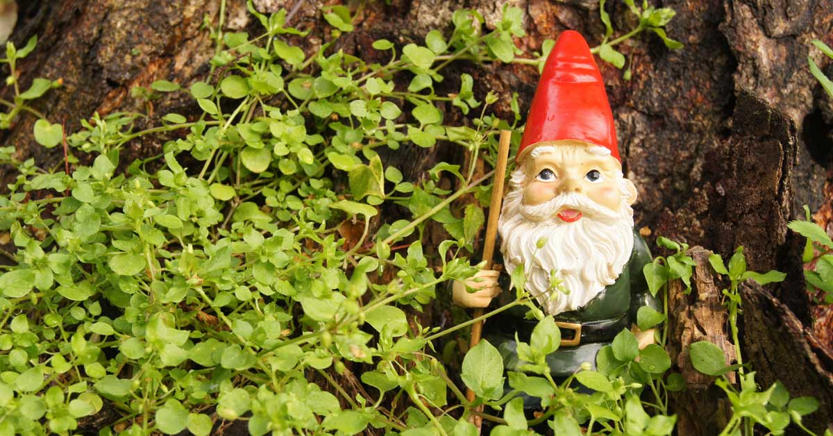 Tuinkabouter Inspiratie De 8 Gezelligste Kabouters Voor In De Tuin Tuinkabouter Inspiratie De 8 Gezelligste Kabouters Voor In De Tuin