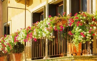 Bloemen-aan-ballustrade-balkon