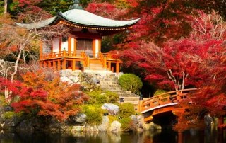 Japanse-tuin