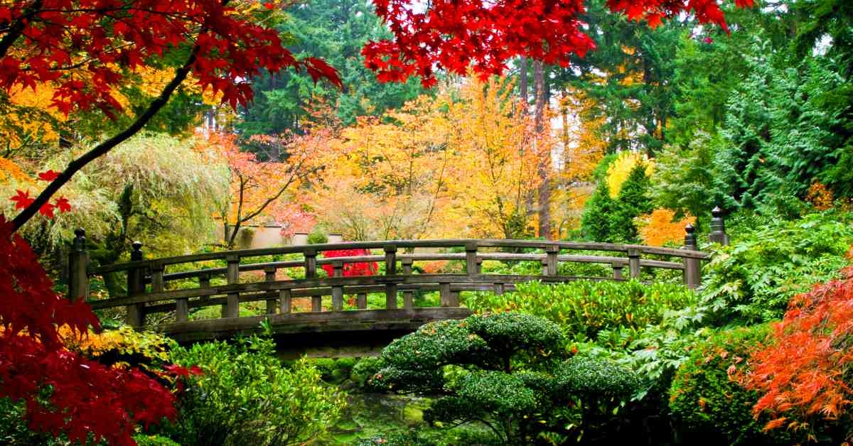 Verbazingwekkend Japanse Tuin Aanleggen - Alle Tips - Buitenlevengevoel.nl ZG-45