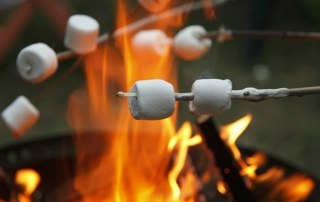 vuurkorf-marshmallows