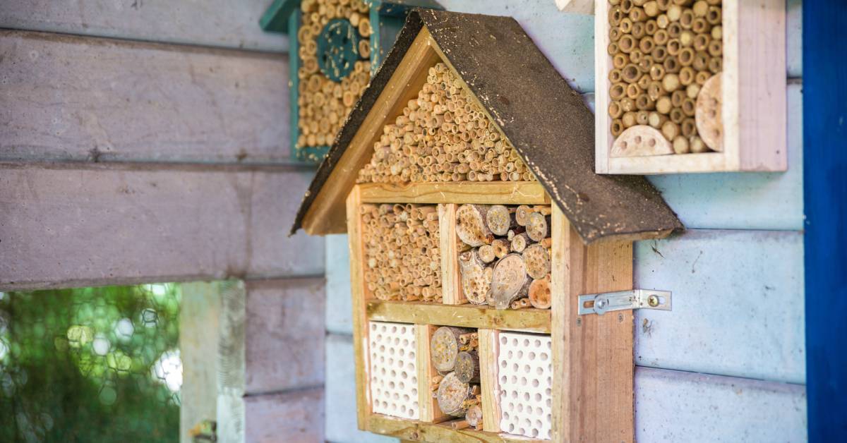 Plaatsen bijenhotel