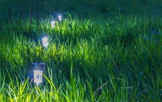 tuinverlichting-aanleggen-cover