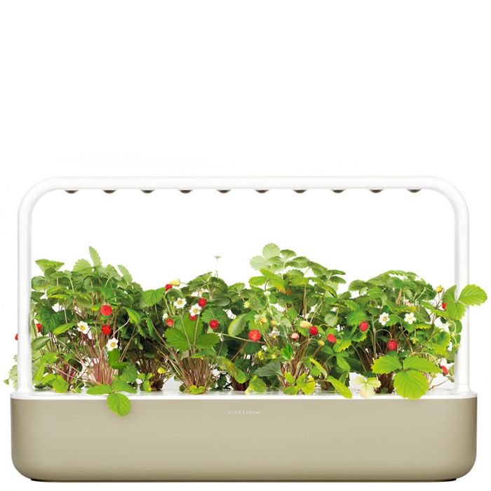 hydroponics