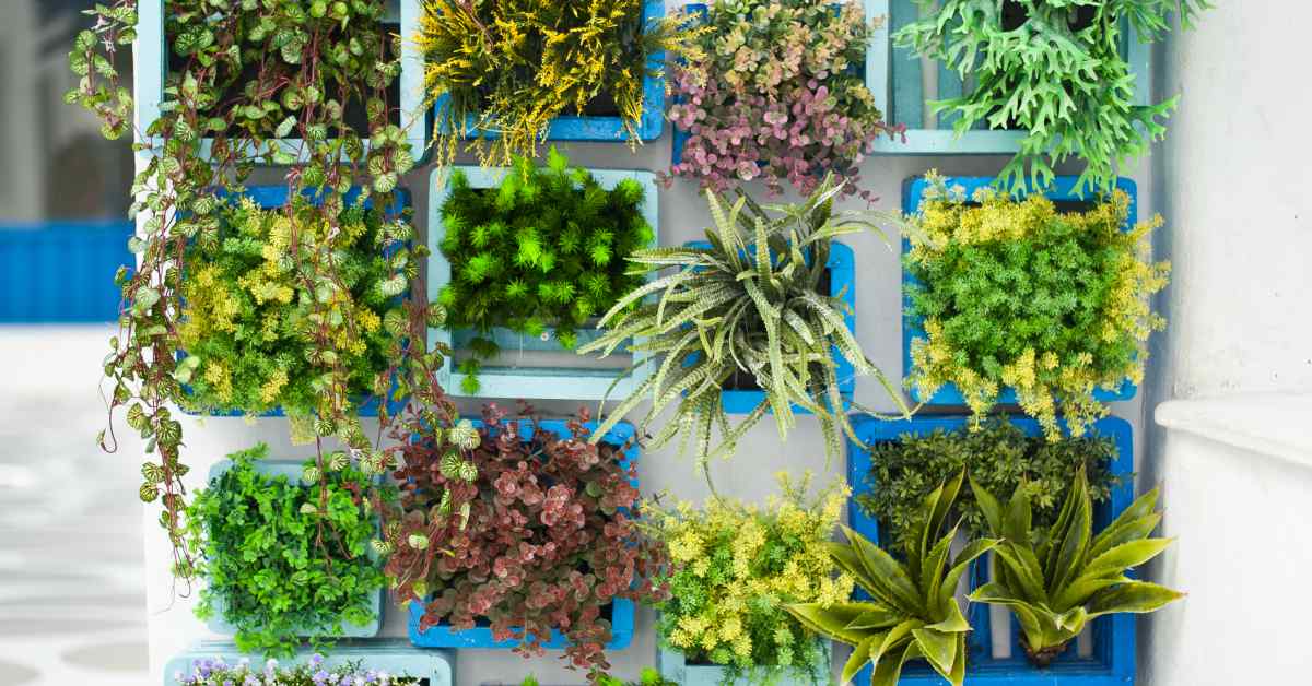 Kisten-met-bloemen