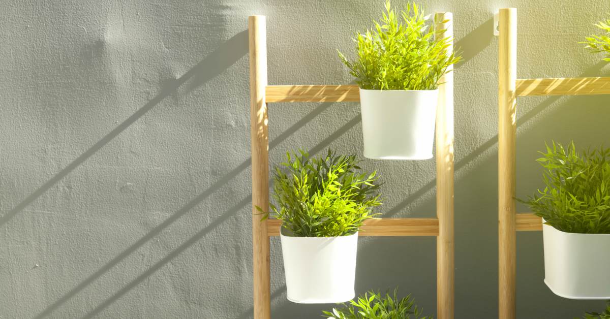 Ladder-met-planten