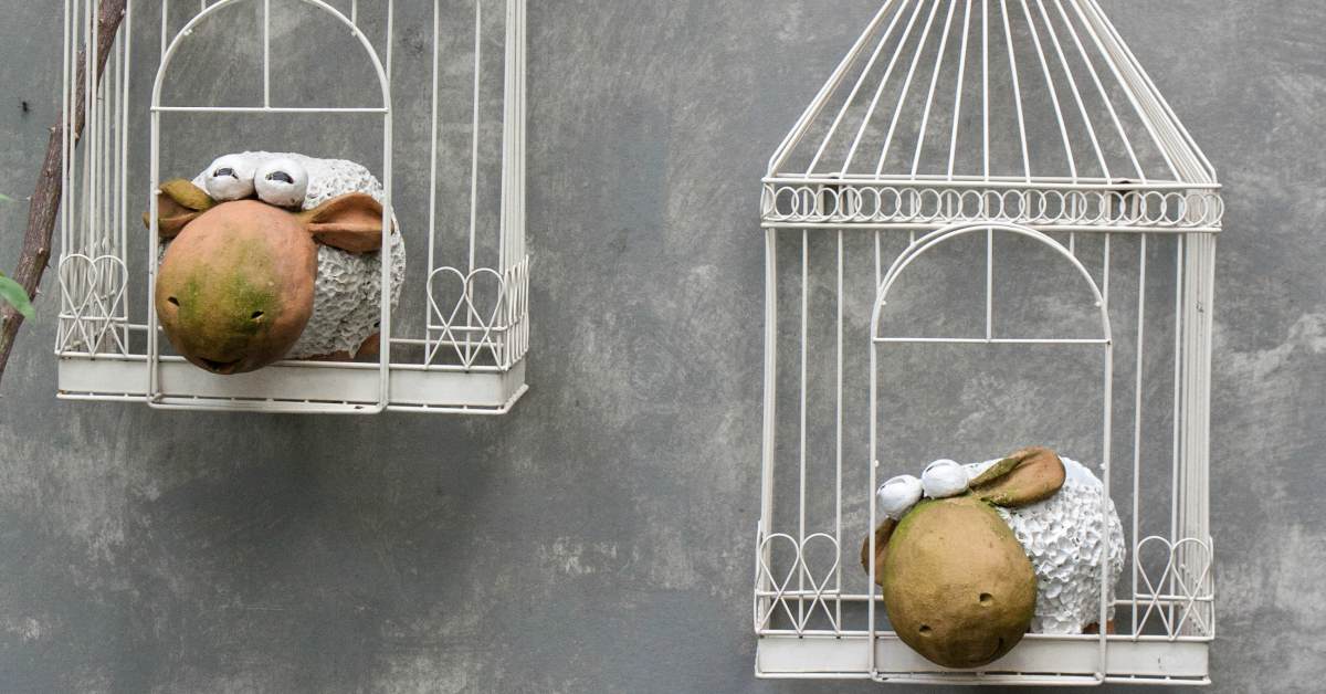 Lege-vogelhuisjes