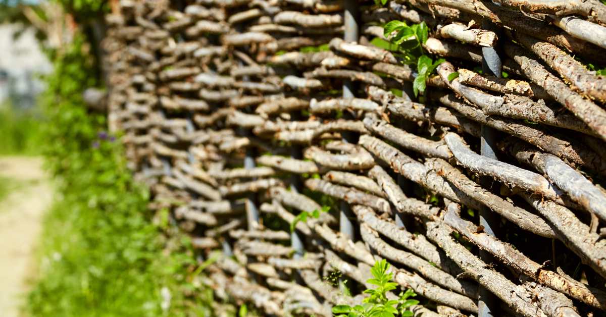 Wilgentenen schutting