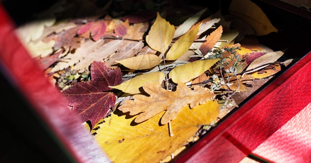 Bak-met-gedroogde-bladeren