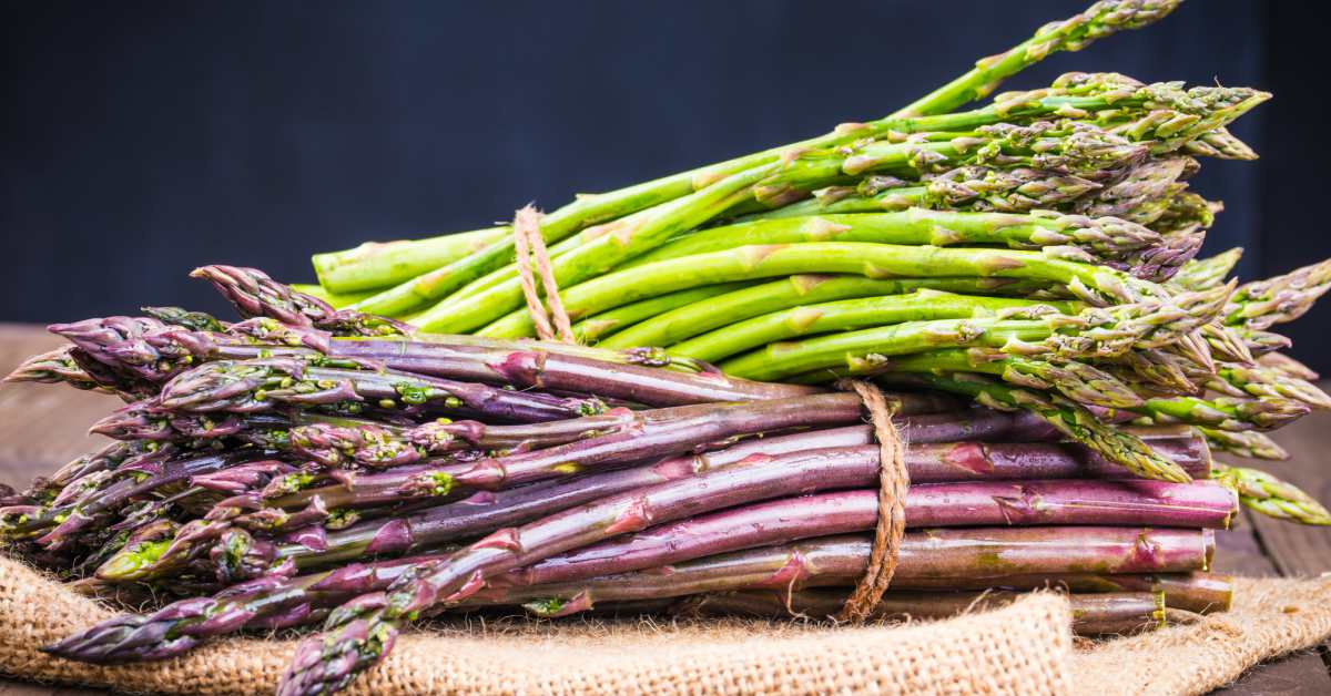 Asperges Kweken In Bakken Je Eigen Aspergeseizoen In 10 Stappen! Asperges Kweken In Bakken Je Eigen Aspergeseizoen In 10 Stappen!