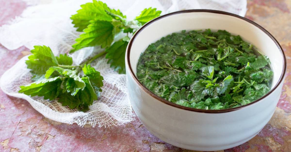 Brandnetels-in-water