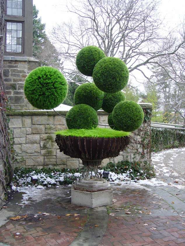 Kunst van planten
