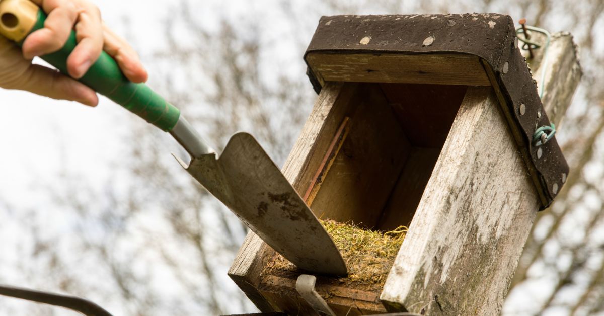 Nestkastje leeghalen en schoonmaken