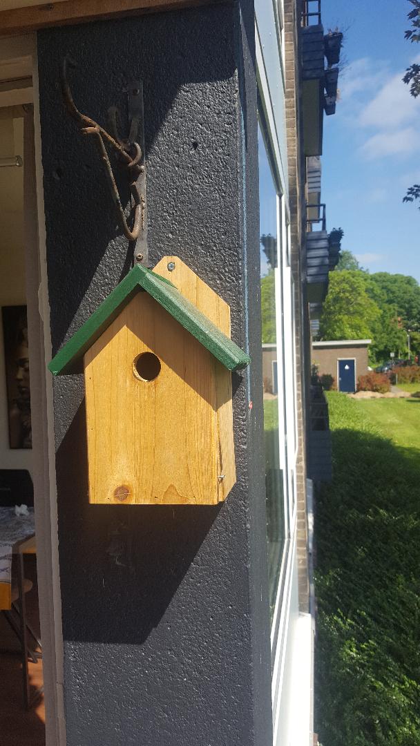 Houten nestkast aan een boom in de tuin