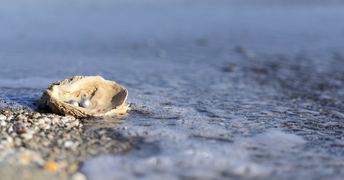 oester in de zee