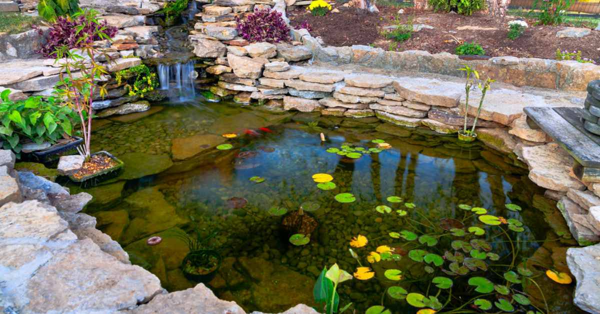 Vijver in tuin