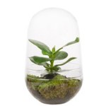 terrarium glas speciale vorm