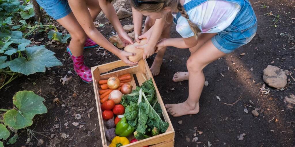 Kids in Garden