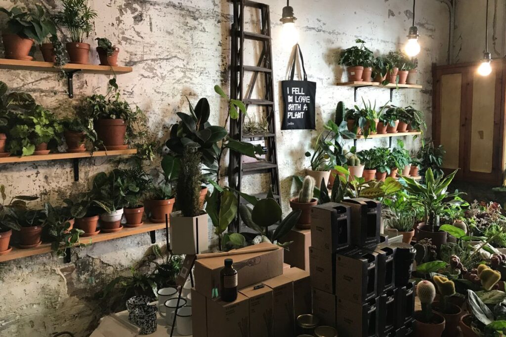Winterharde planten in potten voor buiten