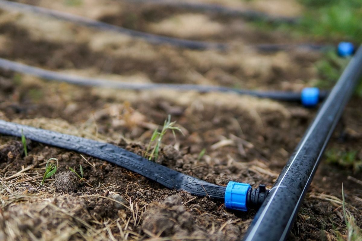 Druppelslangen en koppelingen op de grond