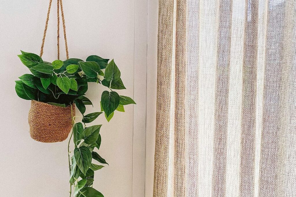 Groene hangplanten in potten voor binnen