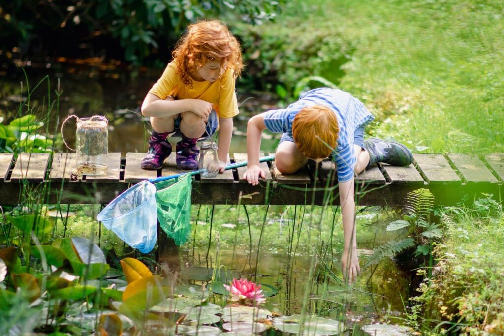 Kikker tussen planten in een groene tuin