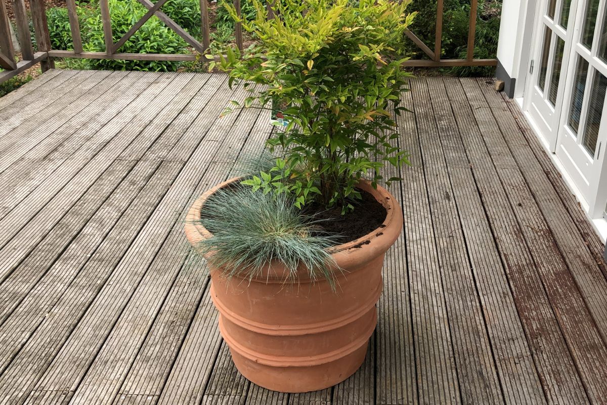 Houten vlonder in de tuin onderhouden