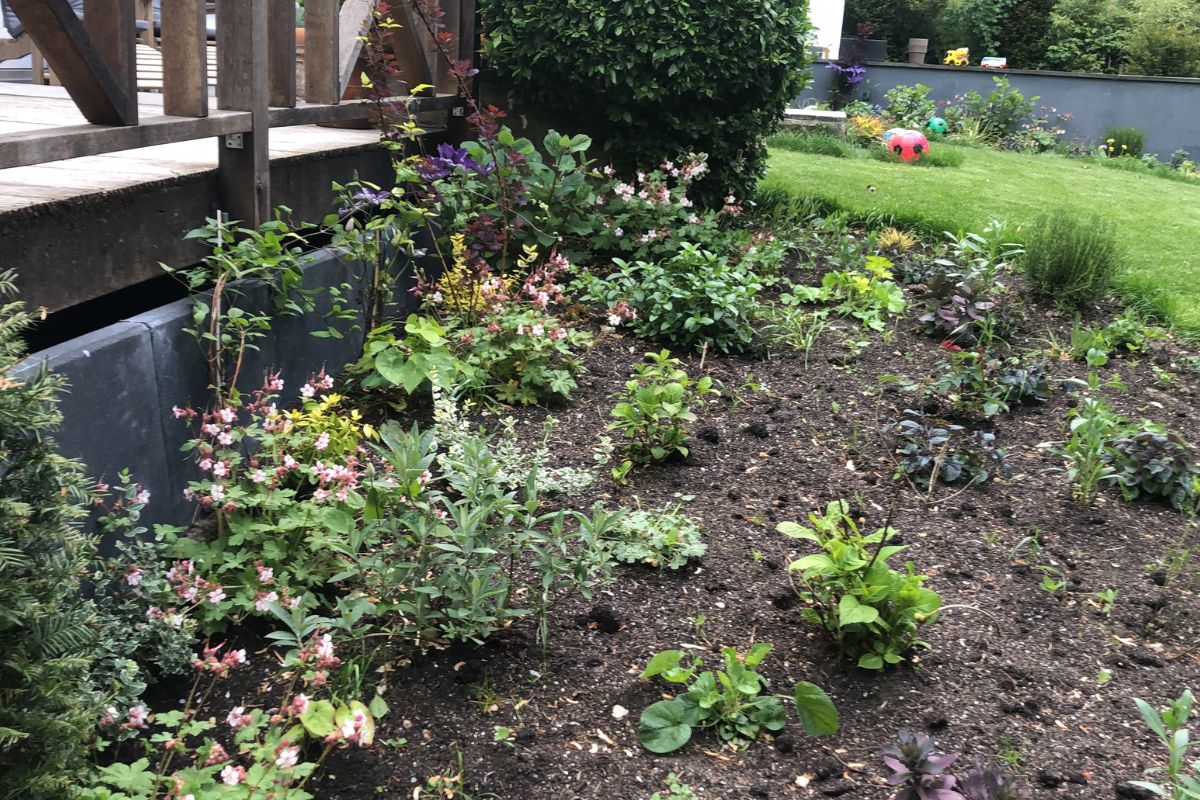 Beginnen met planten en tuinieren