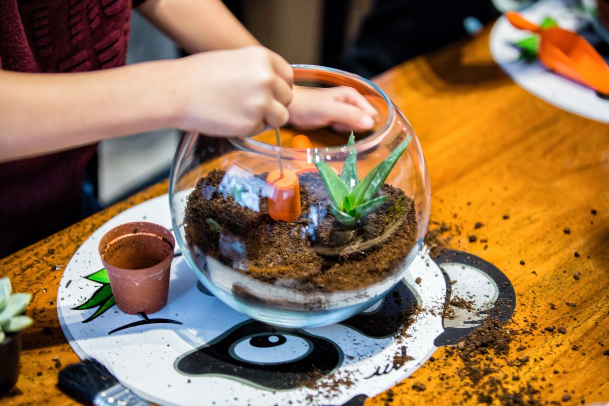 Zelf een plantenterrarium maken
